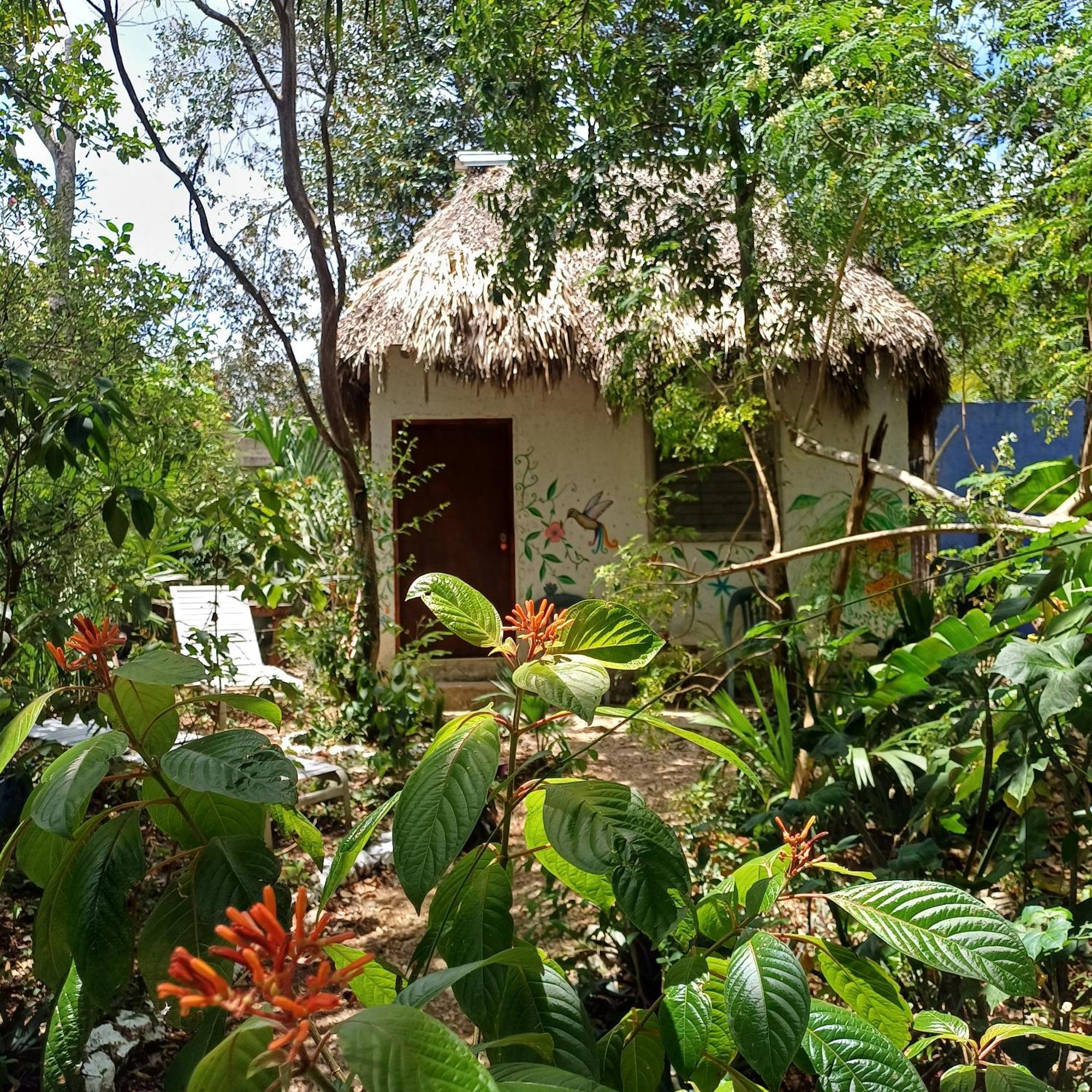 Mayan Bungalow Near Chichen ภายนอก รูปภาพ