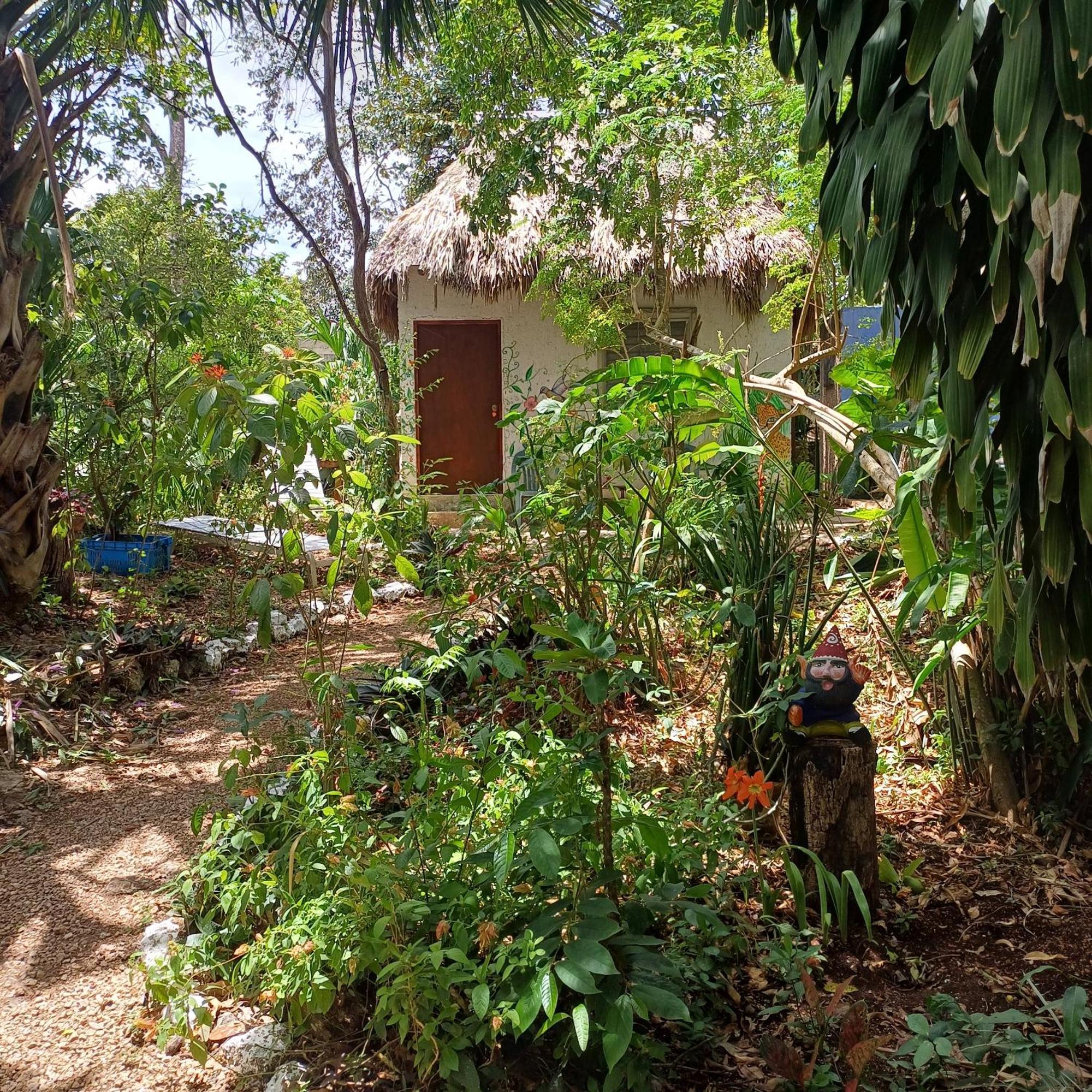 Mayan Bungalow Near Chichen ภายนอก รูปภาพ