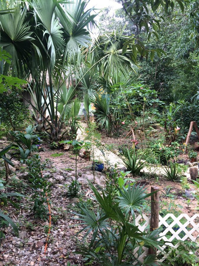 Mayan Bungalow Near Chichen ภายนอก รูปภาพ