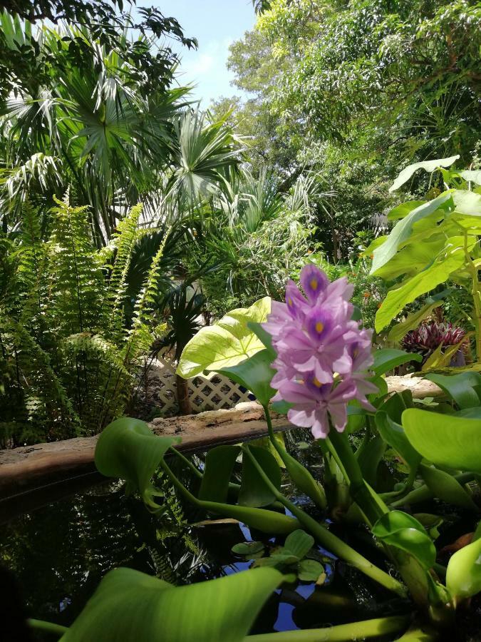 Mayan Bungalow Near Chichen ภายนอก รูปภาพ