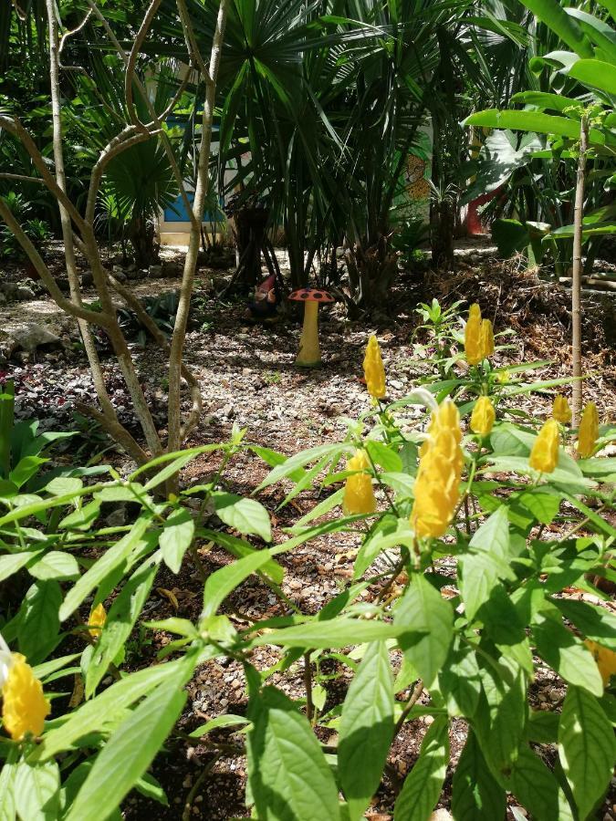 Mayan Bungalow Near Chichen ภายนอก รูปภาพ