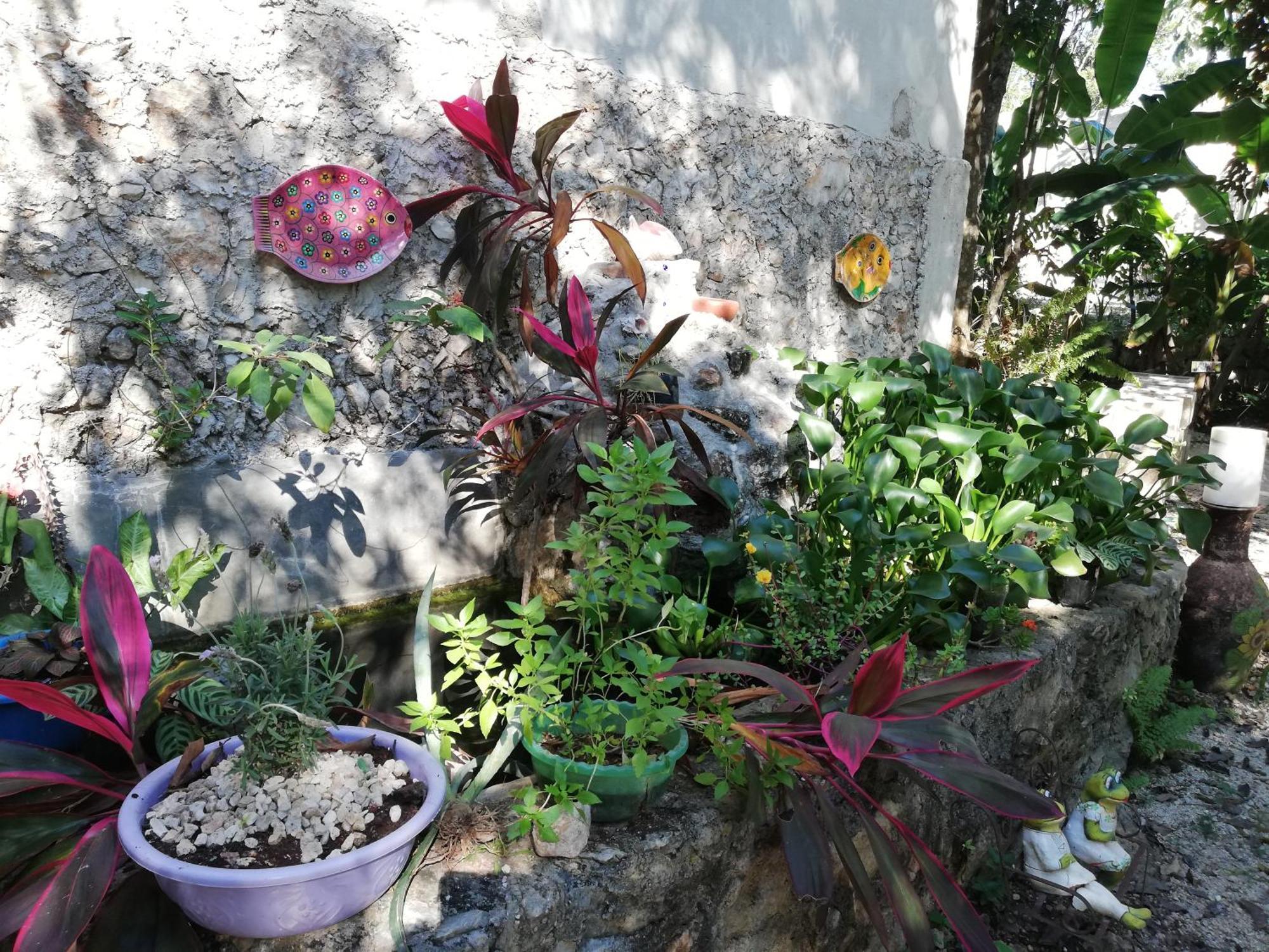 Mayan Bungalow Near Chichen ภายนอก รูปภาพ